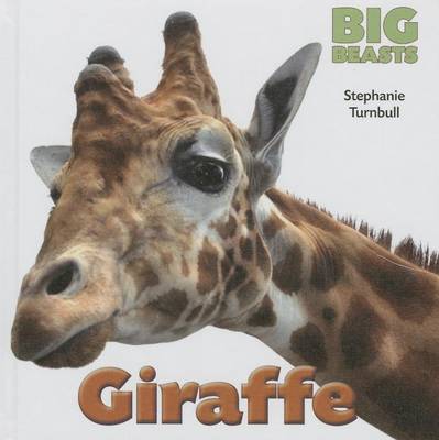 Book cover for Giraffe