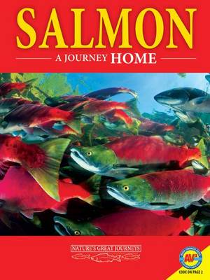 Book cover for Salmon: A Journey Home
