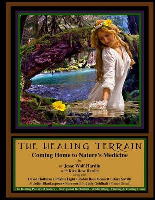 Book cover for The Healing Terrain