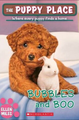 Cover of Bubbles and Boo