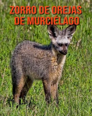 Book cover for Zorro de orejas de murciélago