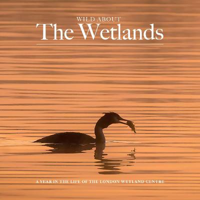 Book cover for Wild about The Wetlands