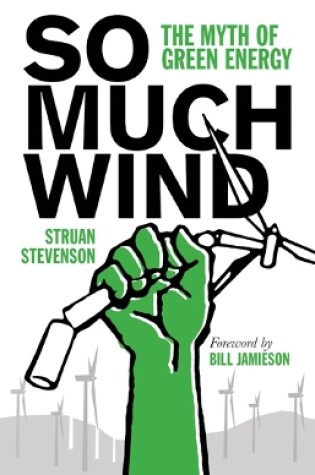 Cover of So Much Wind