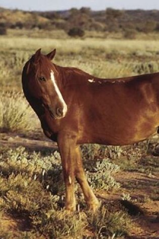 Cover of 2020 Daily Planner Horse Photo Equine Horse Pasture 388 Pages