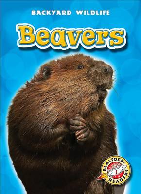 Book cover for Beavers