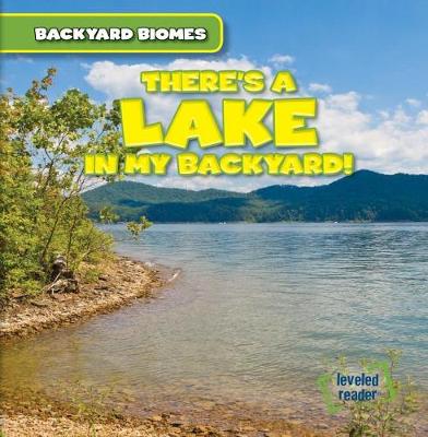 Book cover for There's a Lake in My Backyard!