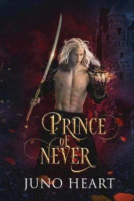 Book cover for Prince of Never