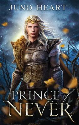 Book cover for Prince of Never