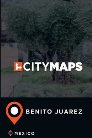 Cover of City Maps Benito Juarez Mexico