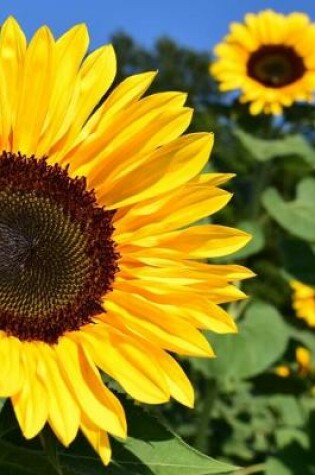 Cover of Blank Journal - Sunflowers of Italy