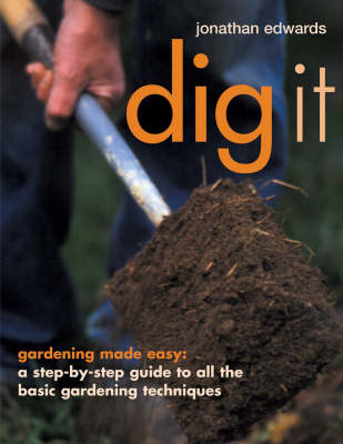 Book cover for Dig it