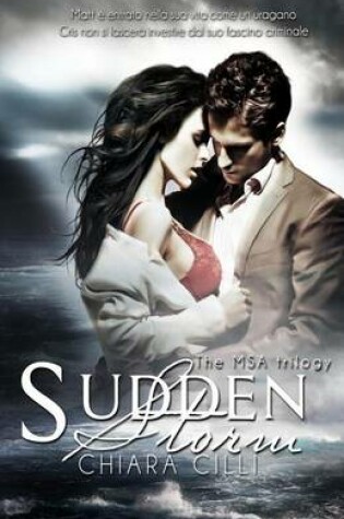 Cover of Sudden Storm