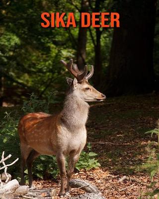 Book cover for Sika Deer