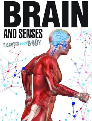 Book cover for Brain and Senses