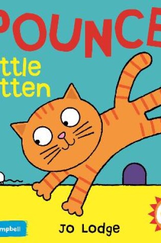 Cover of Pounce! Little Kitten