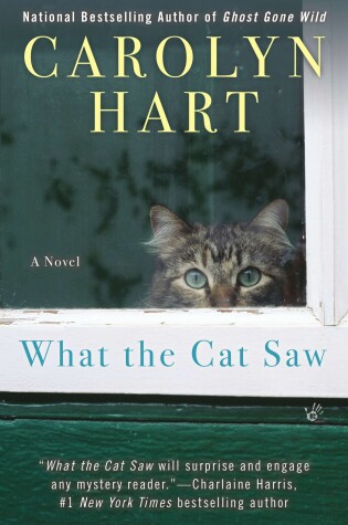 Cover of What The Cat Saw