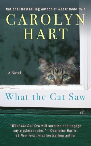 Book cover for What The Cat Saw