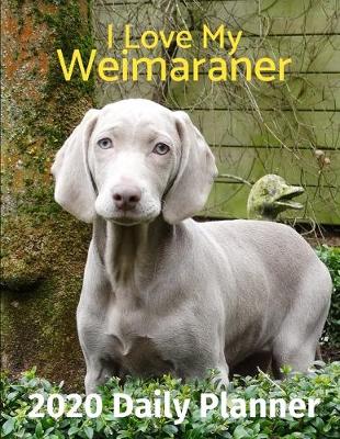 Cover of I Love My Weimaraner