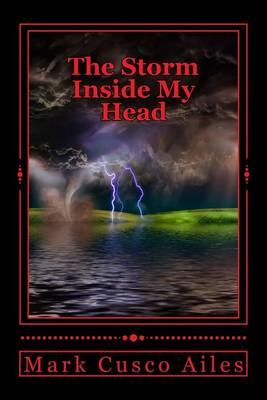 Book cover for The Storm Inside My Head