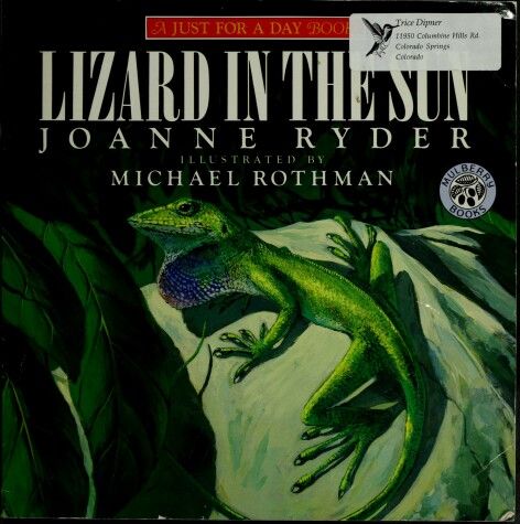 Book cover for Lizard in the Sun