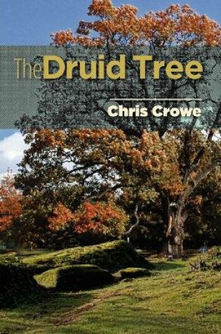 Cover of The Druid Tree