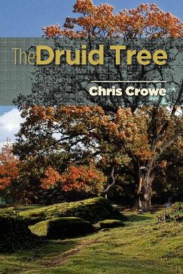 Book cover for The Druid Tree