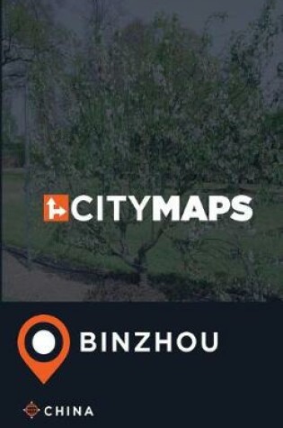 Cover of City Maps Binzhou China