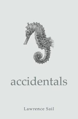 Book cover for Accidentals