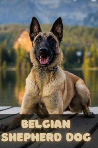 Cover of Belgian Shepherd Dog