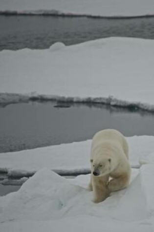 Cover of Polar Bear on an Ice Floe Animal Journal