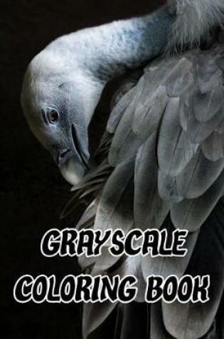 Cover of Grayscale Coloring Book