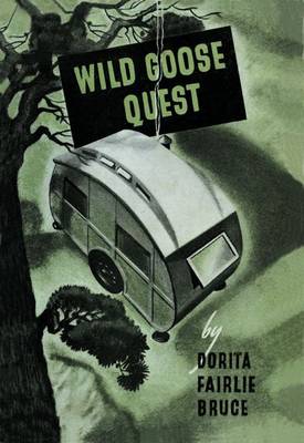 Cover of Wild Goose Quest