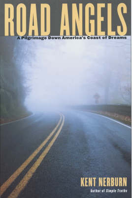 Book cover for Road Angels