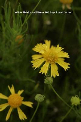 Book cover for Yellow Hawkweed Flower 100 Page Lined Journal