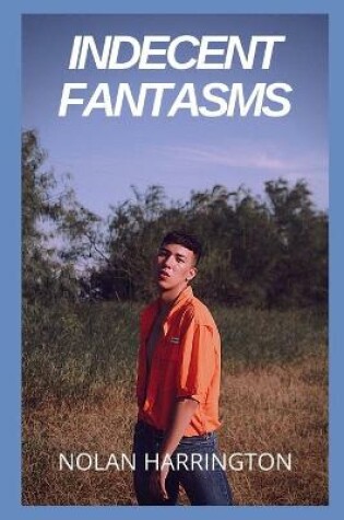 Cover of Indecent fantasms