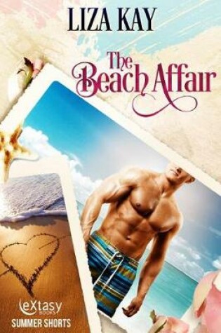 Cover of The Beach Affair