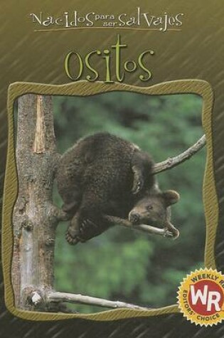 Cover of Ositos (Little Bears)