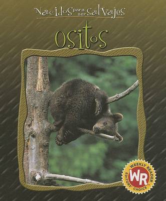 Cover of Ositos (Little Bears)