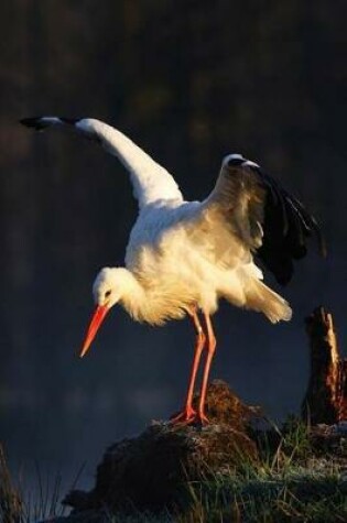 Cover of White Stork with Open Wings Journal