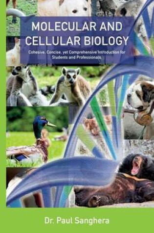 Cover of Molecular and Cellular Biology