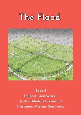 Cover of The Flood