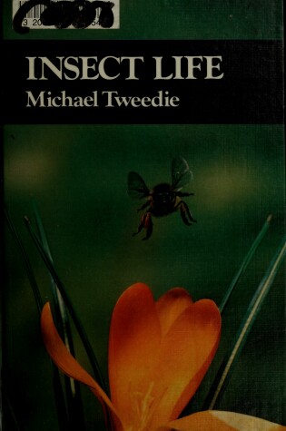 Cover of Insect Life