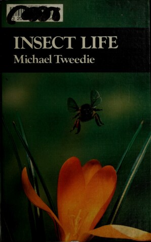 Cover of Insect Life