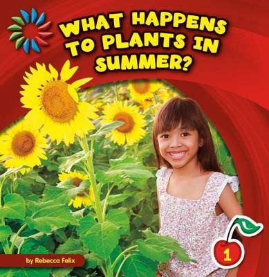 Book cover for What Happens to Plants in Summer?