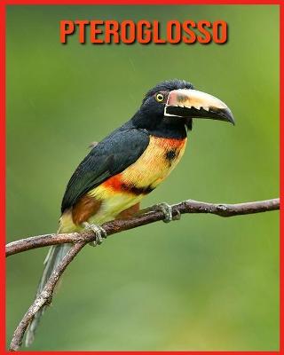 Book cover for Pteroglosso