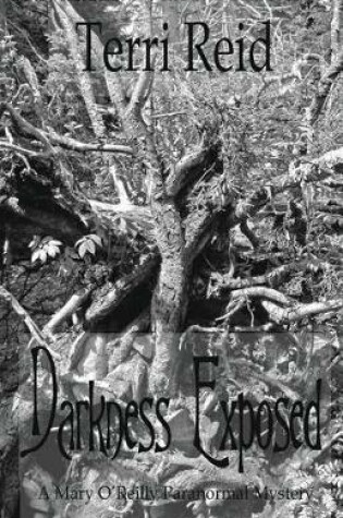 Cover of Darkness Exposed