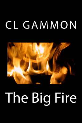 Book cover for The Big Fire