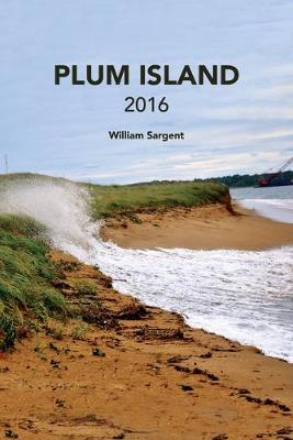 Book cover for Plum Island 2016