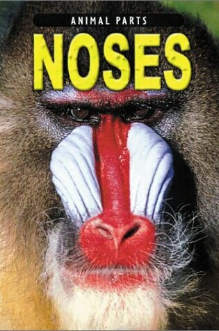 Cover of Noses