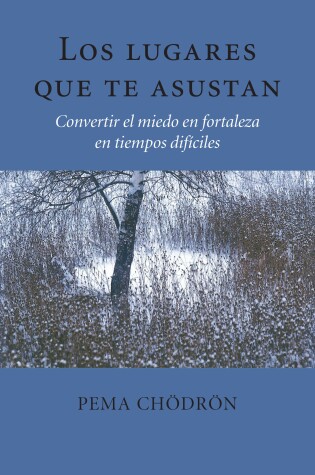 Cover of Los lugares que te asustan (The Places That Scare You)